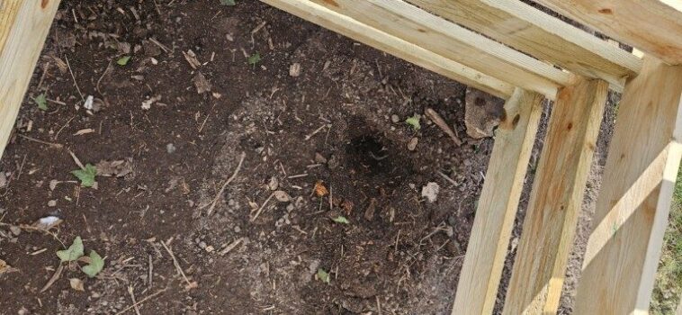 Comment choisir une caméra pour surveiller la faune sauvage ? 1 Peu de temps après la construction du compost, nous avons découvert le trou d'une taupe... (Photo : Sven Wernicke)