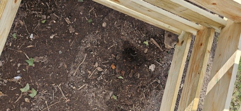 Comment choisir une caméra pour surveiller la faune sauvage ? 2 Peu de temps après la construction du compost, nous avons découvert le trou d'une taupe... (Photo : Sven Wernicke)