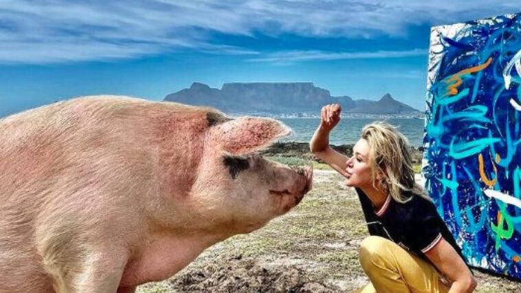 Adieu à Pigcasso, la truie peintre qui a vendu ses tableaux pour un million de dollars 1 Image