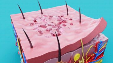 Avec succès, les chercheurs ont utilisé l'impression 3D de peau lors d'une opération 26 Com sucesso, investigadores utilizaram bioimpressão 3D de pele durante uma operação