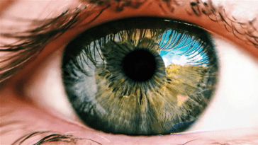 Bientôt, nous pourrions porter des panneaux solaires à l'intérieur de nos yeux: l'objectif est totalement ambitieux