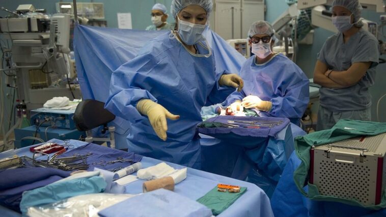 Ce qui peut causer la maladie d'Alzheimer, de nouvelles preuves montrent que la maladie se transmet par certaines procédures médicales 1 Image