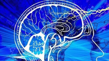 Comment prévenir la démence, une nouvelle étude révèle les facteurs qui réduisent le risque 4 Immagine
