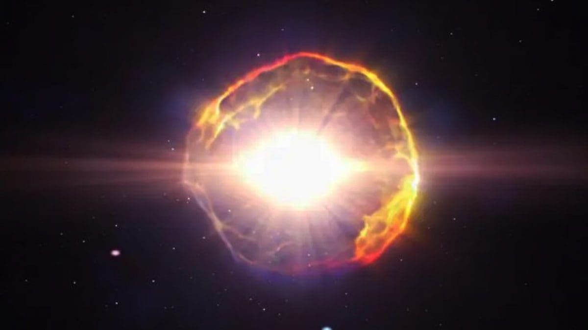D'ici l'été, l'explosion d'une étoile dans le ciel sera visible à l'œil nu 2 Crédit : Centre de vol spatial Goddard de la NASA