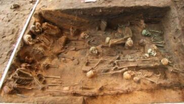 Énorme fosse remplie de morts de la peste émergeant lors de fouilles de construction : des centaines de squelettes trouvés 6 Parte degli scheletri trovati nella fossa comune. Credit: In Terra Veritas