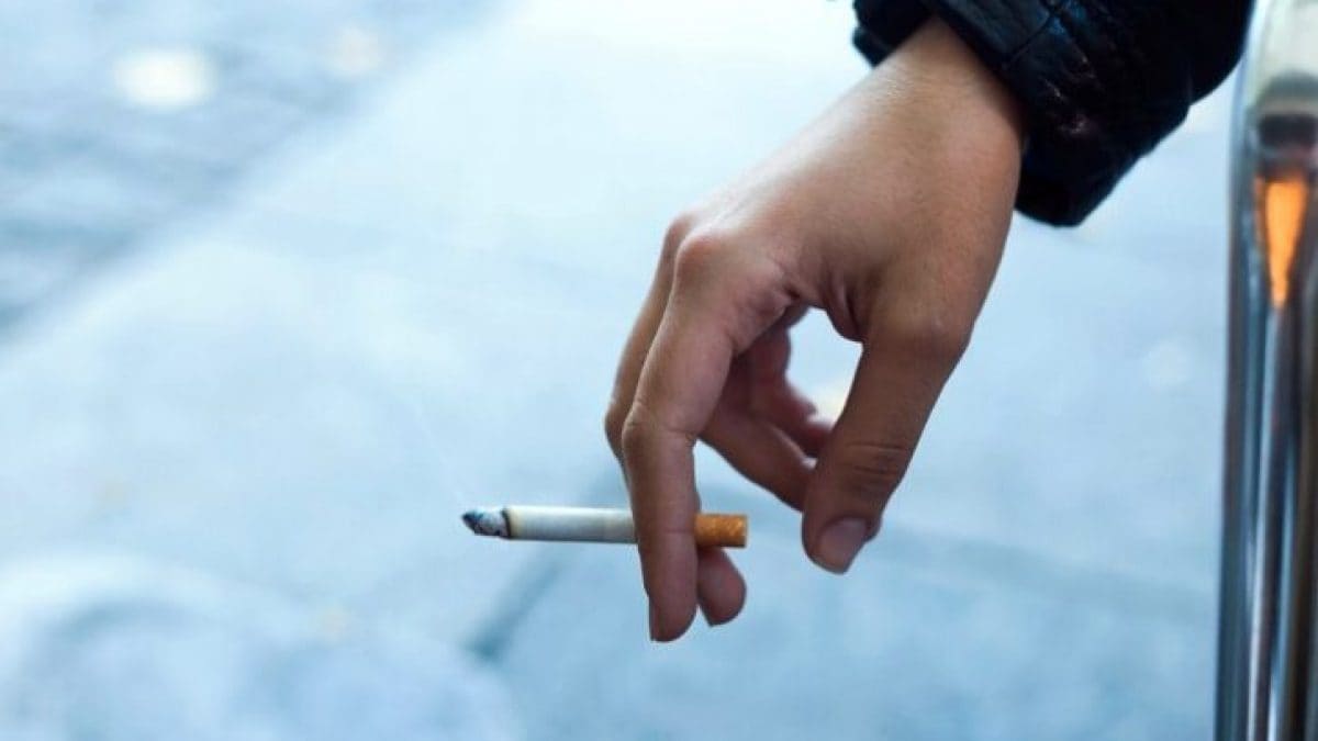 Fumer des cigarettes a un nouvel effet secondaire : les données sur la graisse viscérale 2 Image