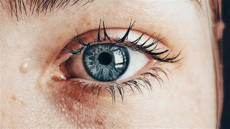 Imprimer une peau vivante sur les blessures : la solution technologique pour dire adieu aux cicatrices 1 Imprimer de la peau vivante sur des blessures : la solution technologique pour dire adieu aux cicatrices