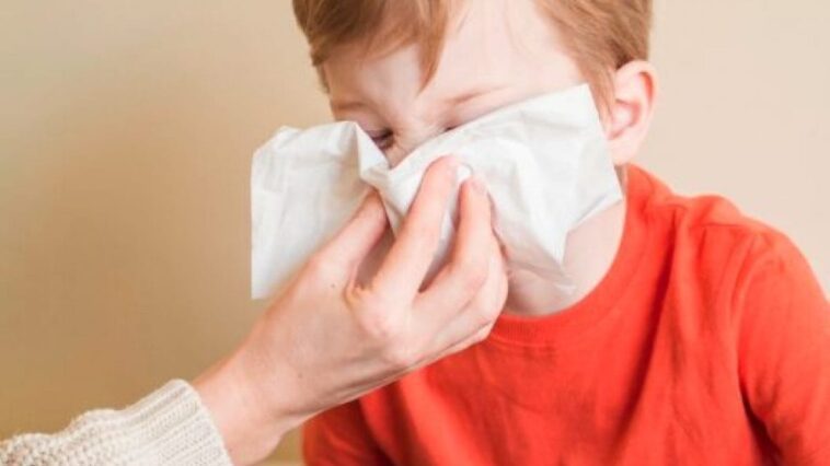 Infections par l'amibe mangeuse de cerveau dans l'eau : quels sont les risques pour les lavages nasaux et comment les faire 1 Immagine