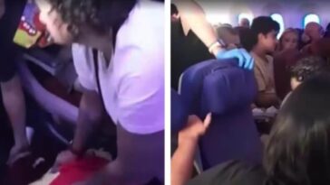 L'avion s'écrase en piqué, 50 passagers éjectés restent blessés : que s'est-il passé lors du vol de Sidney 9 Image