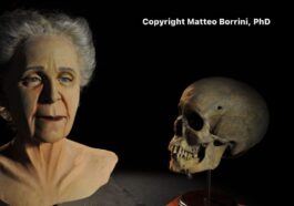 Crédit : Matteo Borrini
