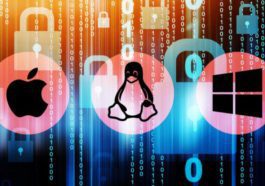 Linux dépasse les 4 % d'utilisation sur ordinateur !  Windows est roi…