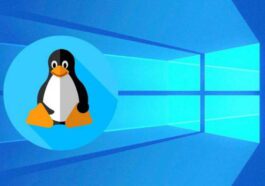 Distributions Microsoft Linux Windows