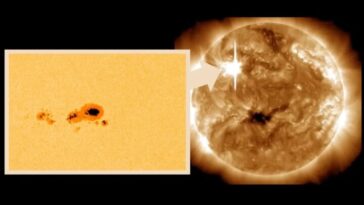 Photographies de la tache solaire AR3590 montrent qu'elle est la plus grande du Cycle Solaire 25 29 Fotografias da mancha solar AR3590 mostram que é a maior do Ciclo Solar 25