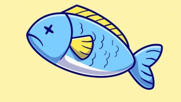 Poisson d'Avril 2024, les images et Gif les plus amusants gratuitement pour faire des blagues le 1er avril 19 Image
