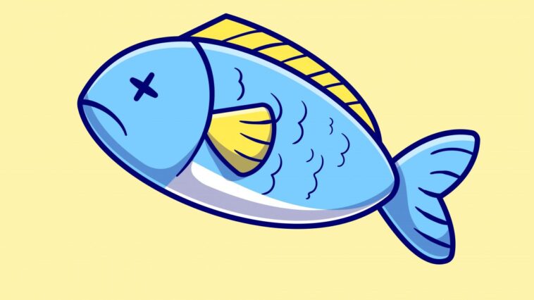 Poisson d'Avril 2024, les images et Gif les plus amusants gratuitement pour faire des blagues le 1er avril 1 Image