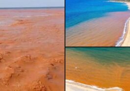 Les eaux rouges du rio Irvi, la rivière qui traverse la plage de Piscinas en Sardaigne et se jette dans la mer de la Costa Verde / Crédit : Kurosh74 @Kurosh/Twitter