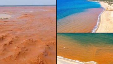 Pourquoi en Sardaigne la rivière qui traverse la plage de Piscinas est rouge depuis des jours 28 Les eaux rouges du rio Irvi, la rivière qui traverse la plage de Piscinas en Sardaigne et se jette dans la mer de la Costa Verde / Crédit : Kurosh74 @Kurosh/Twitter