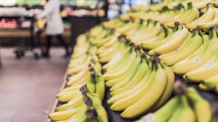 Pourquoi le prix des bananes est destiné à augmenter 1 Image