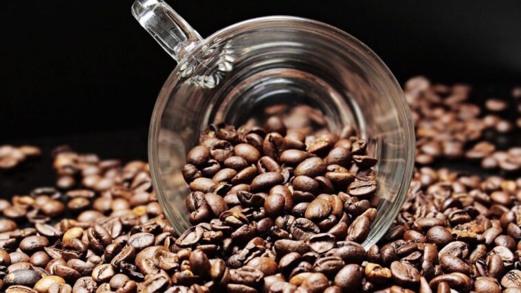 Que se passe-t-il si vous buvez trop de café et combien de tasses pouvez-vous en prendre par jour 1 Il y a un nombre maximum de tasses de café que nous pouvons boire chaque jour : le dépasser est associé à des effets négatifs et, en cas de consommation excessive, aux symptômes d'intoxication à la caféine