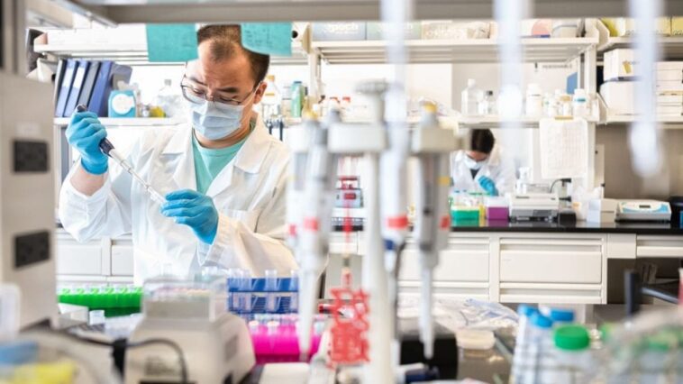 Quels sont les symptômes de la rougeole et pourquoi la nouvelle variante peut échapper aux tests mais pas aux vaccins 1 Image