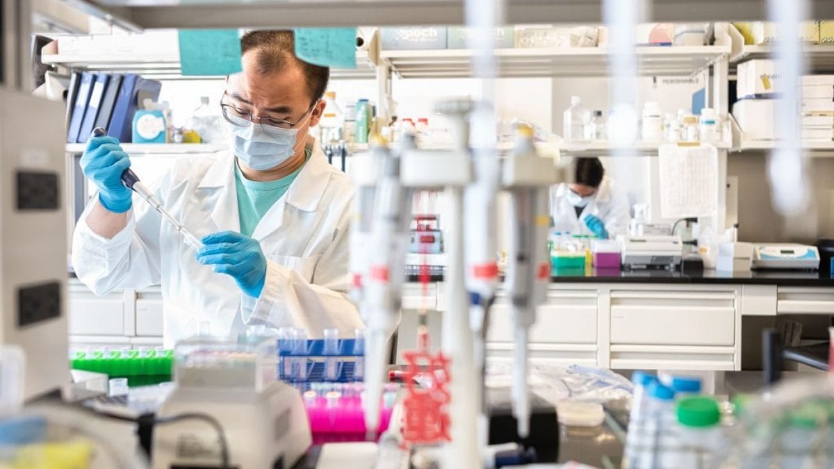 Quels sont les symptômes de la rougeole et pourquoi la nouvelle variante peut échapper aux tests mais pas aux vaccins 2 Image
