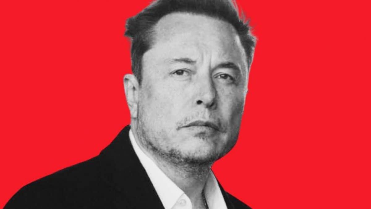 Qu'est-ce que la théorie du Grand Remplacement : l'absurde complot mené par Elon Musk 2 Image