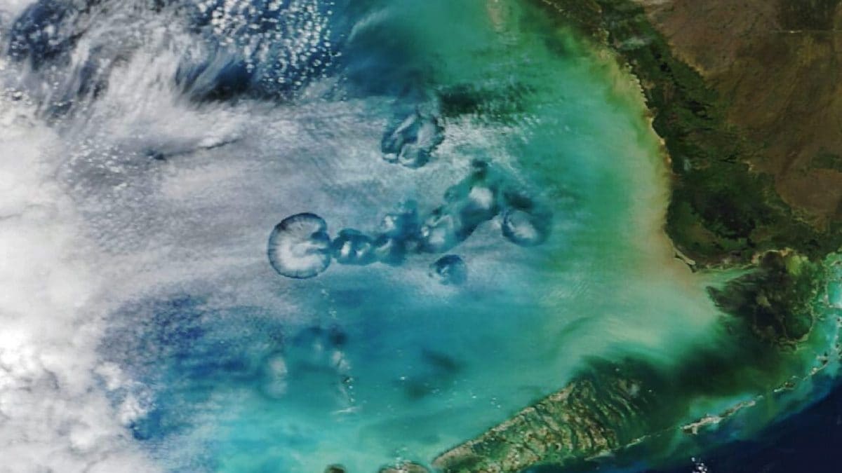 Que sont les étranges "trous dans le ciel" observés depuis le satellite Terra de la NASA 2 Les 'trous dans le ciel' au-dessus du golfe du Mexique vus par l'instrument Modis du satellite Terra. Crédit : NASA Earth Observatory/Michala Garrison/MODIS NASA EOSDIS LANCE e GIBS/Worldview.