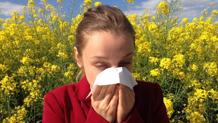 Symptômes de plus en plus précoces de l'allergie au pollen, antihistaminiques et vaccins : l'expert explique que faire 1 Symptômes des allergies au pollen de plus en plus précoces et prolongés en raison des floraisons anticipées