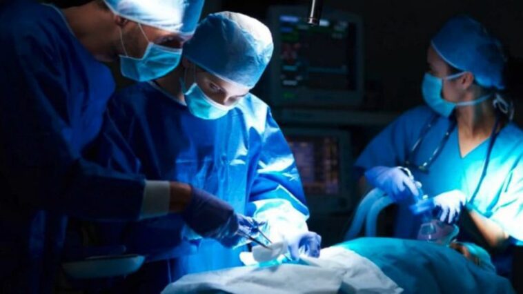 Un homme a reçu un rein de porc: c'est la première greffe de ce type sur une personne vivante 1 Image