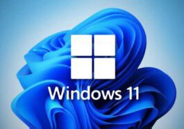 Windows 11 Actualités Microsoft mise à jour Moment 5