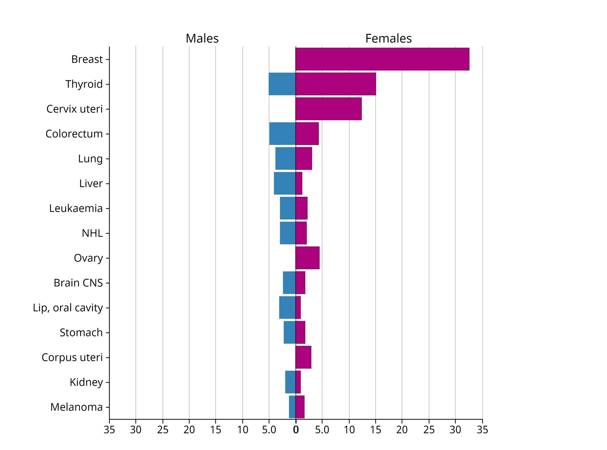 Quels sont les cancers les plus fréquents chez les jeunes: les données de l'OMS 3 Incidenza globale dei tumori più frequentemente diagnosticati negli uomini e nelle donne tra i 15 e i 49 anni / Credit: IARC https://gco.iarc.who.int Globocan 2022