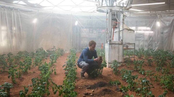Est-il possible de cultiver sur Mars ? Ce Rover va le découvrir 5 1713100474 522 Est il possible de cultiver sur Mars Ce Rover va