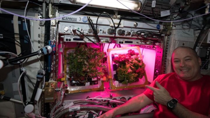 Est-il possible de cultiver sur Mars ? Ce Rover va le découvrir 3 1713100474 676 Est il possible de cultiver sur Mars Ce Rover va