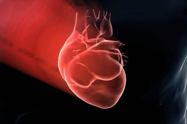 Pourquoi le symbole du cœur est-il si différent de l'organe réel : une étude italienne éclaire sur ses origines 5 Image