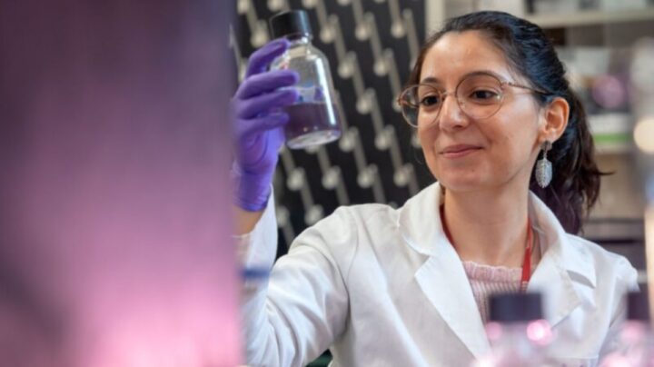 Scientifique portugaise affirme que les "extraterrestres verts" pourraient finalement être violets 3 1713998271 865 Scientifique portugaise affirme que les extraterrestres verts pourraient finalement etre