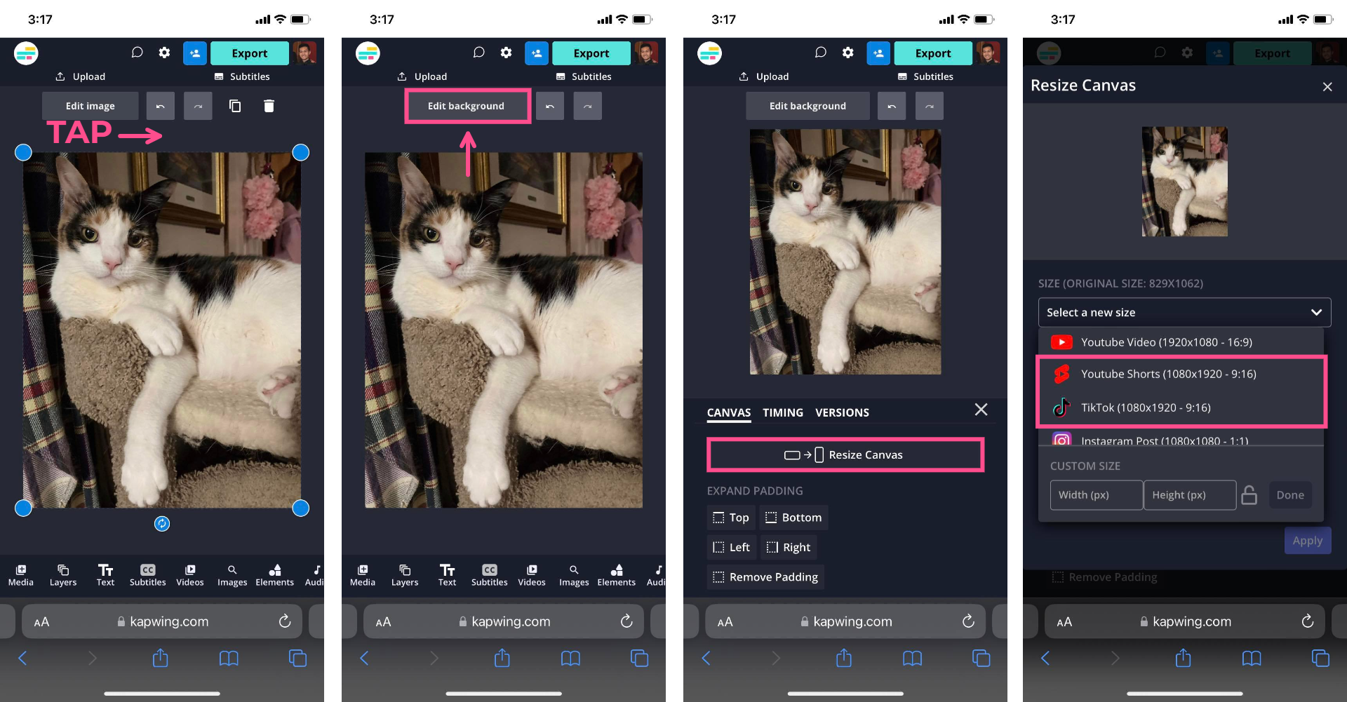 Comment publier des photos et des carrousels sur TikTok avec le mode photo 14 1714369135 479 Quest ce que le mode photo TikTok et comment lutiliser