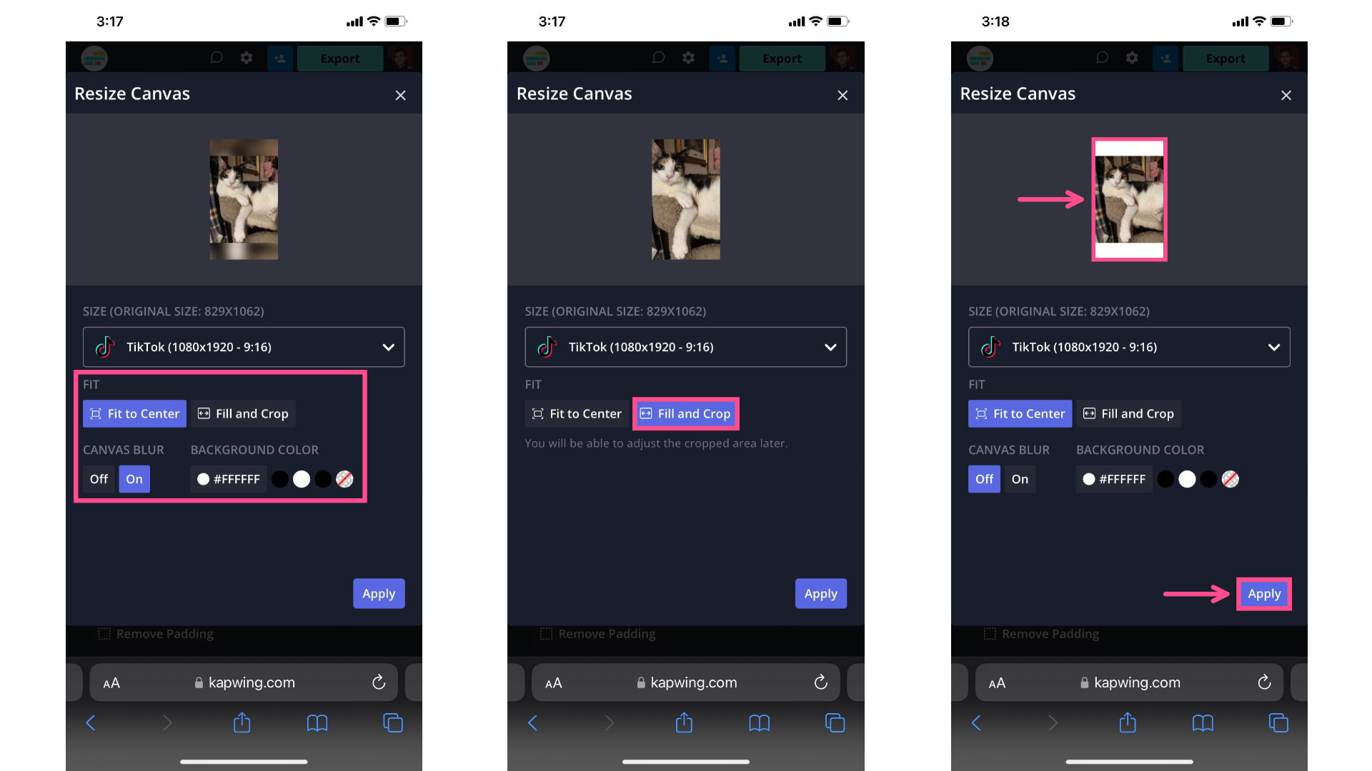 Comment publier des photos et des carrousels sur TikTok avec le mode photo 15 1714369135 63 Quest ce que le mode photo TikTok et comment lutiliser