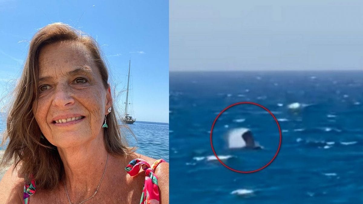 Baleine franche en Méditerranée, d'où elle vient et ce qu'elle risque : l'explication de la biologiste marine 2 A gauche, le docteur Maddalena Jahoda, à droite, la baleine franche observée en Méditerranée. Credit : Maddalena Jahoda / Equinac
