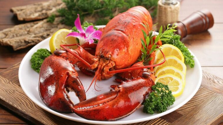 Conscience animale, signes aussi chez les crustacés, les mollusques et les insectes : "Réfléchir sur la façon dont nous les traitons" 1 Un astice bollito vivo