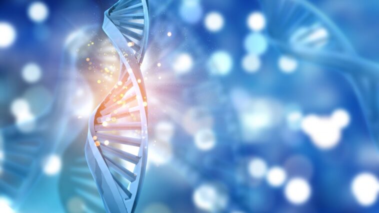 Découverte du lien entre maladies cardiovasculaires et dépression : la réponse est dans les gènes 1 Immagine