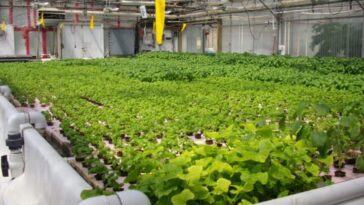 Est-il possible de cultiver sur Mars ? Ce Rover va le découvrir 14 Será que vai ser possível cultivar em Marte? Este Rover vai descobrir