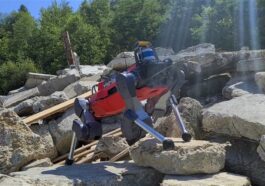 Il y a un animal que tu n'imagines pas dont un robot apprend : bientôt, il pourra l'imiter 78 Il y a un animal duquel un robot apprend : bientôt il pourra l'imiter
