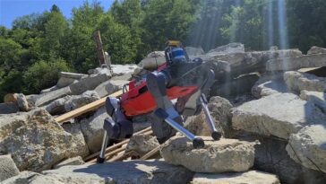 Il y a un animal que tu n'imagines pas dont un robot apprend : bientôt, il pourra l'imiter 20 Il y a un animal duquel un robot apprend : bientôt il pourra l'imiter