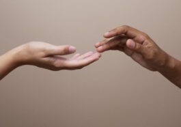 Cette peau intelligente rend possible le contact physique à distance 74 Pele inteligente está a tornar possível o contacto físico à distância