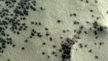 La sonde de l'ESA photographie "des araignées" à la surface de Mars 1 Sonda da ESA fotografa “aranhas” na superfície de Marte