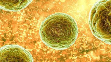 La vitamine D semble renforcer la réponse immunitaire contre les tumeurs 8 Immagine