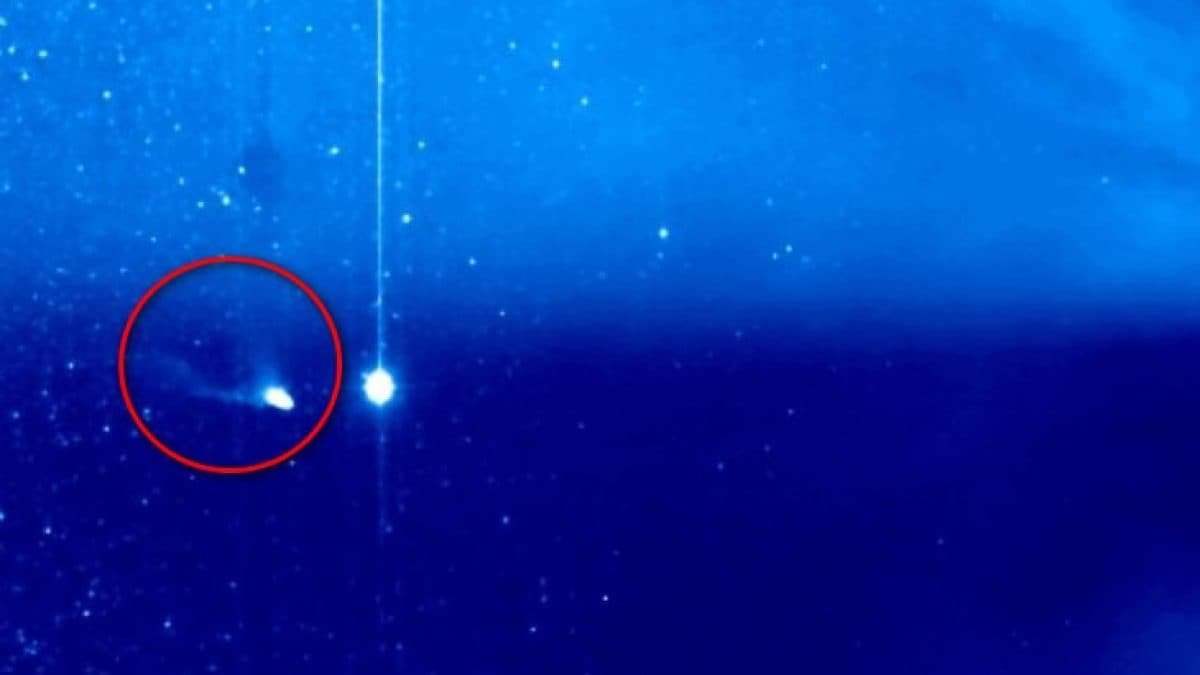 La cometa del diavolo investita dal vento solare. Credit: NASA/STEREO