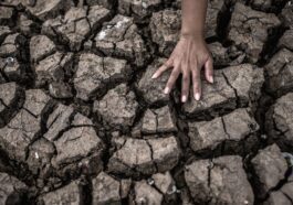 Le mois de mars le plus chaud de tous vient de se terminer : depuis dix mois, les températures dépassent les limites 66 Image