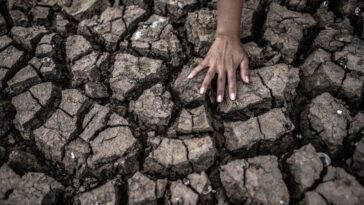 Le mois de mars le plus chaud de tous vient de se terminer : depuis dix mois, les températures dépassent les limites 11 Image