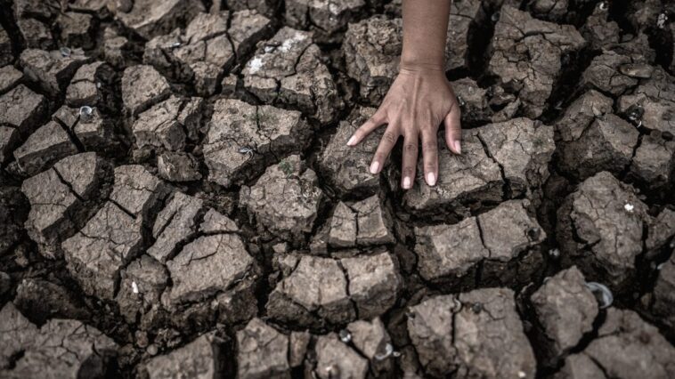 Le mois de mars le plus chaud de tous vient de se terminer : depuis dix mois, les températures dépassent les limites 1 Image
